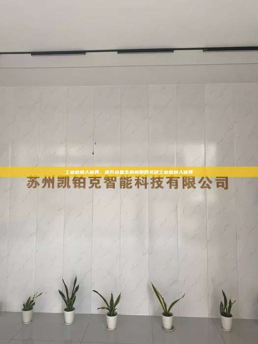 工業(yè)機(jī)器人保養(yǎng)，延長(zhǎng)設(shè)備生命周期的關(guān)鍵工業(yè)機(jī)器人保養(yǎng)