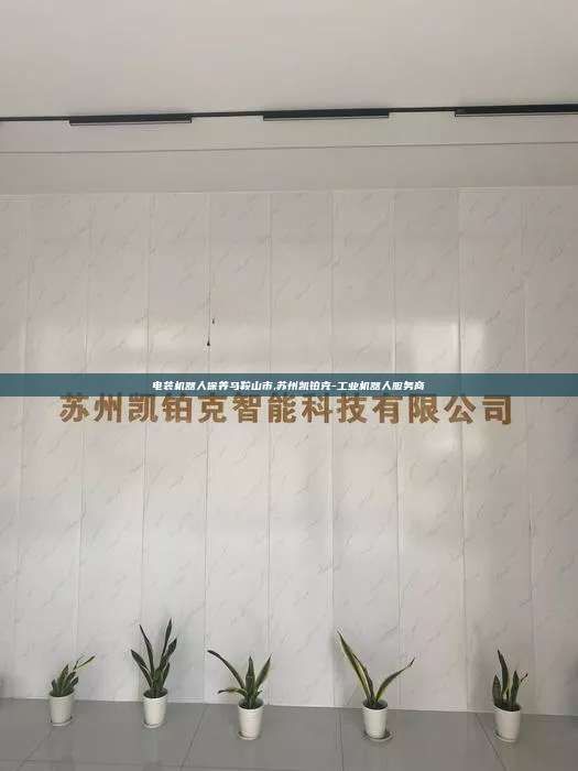 電裝機器人保養馬鞍山市,蘇州凱鉑克-工業機器人服務商