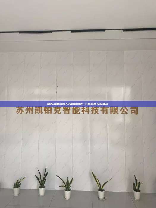 協(xié)作小型機(jī)器人蘇州凱鉑克-工業(yè)機(jī)器人服務(wù)商