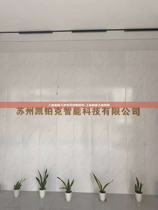 工業機器人型號蘇州凱鉑克-工業機器人服務商