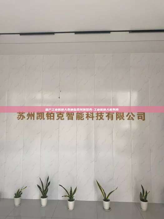 國產(chǎn)工業(yè)機器人有哪些蘇州凱鉑克-工業(yè)機器人服務商