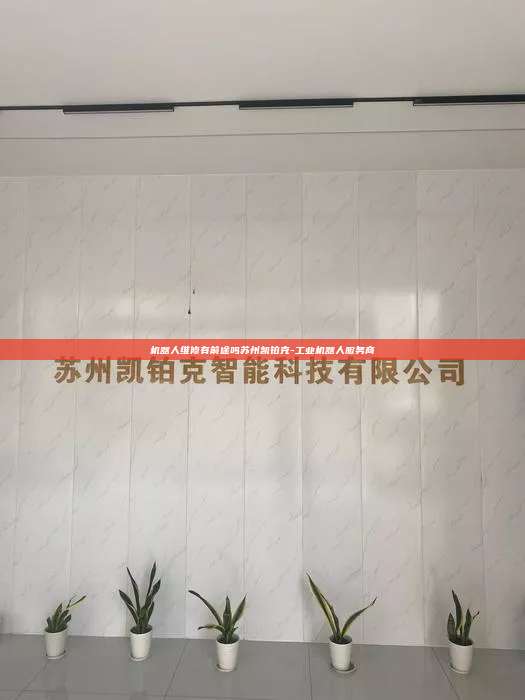 機器人維修有前途嗎蘇州凱鉑克-工業機器人服務商